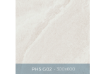 Gạch ốp lát Eurotile 300x600 PHS G02