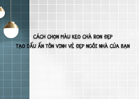 CÁCH CHỌN MÀU KEO CHÀ RON ĐẸP - TẠO DẤU ẤN TÔN VINH VẺ ĐẸP NGÔI NHÀ CỦA BẠN