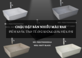 Chậu Đặt Bàn Nhiều Màu RAK – Điểm Nhấn Tinh Tế Cho Không Gian Hiện Đại