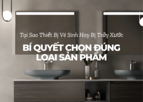 Tại Sao Thiết Bị Vệ Sinh Hay Bị Xước? Bí Quyết Chọn Đúng Loại Sản Phẩm