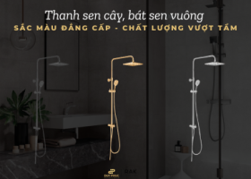 THANH SEN CÂY RAK - SẮC MÀU ĐẲNG CẤP, CHẤT LƯỢNG VƯỢT TẦM