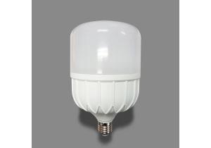  Bóng LED Bulb Panasonic 30W Ánh Sáng Trắng NLB306