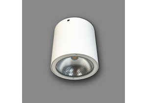 Đèn LED Downlight Trụ Ngoài Trời Ánh Sáng Trắng Panasonic NSDL2236-76