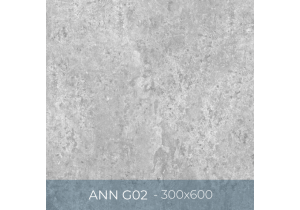 Gạch ốp lát Eurotile 300x600 ANN G02