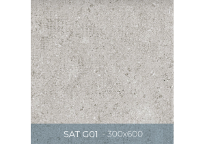 Gạch ốp lát Eurotile 300x600 SAT G01