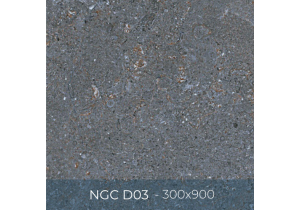 Gạch ốp lát Eurotile 300x900 NGC D03