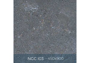 Gạch ốp lát Eurotile 450x900 NGC I03
