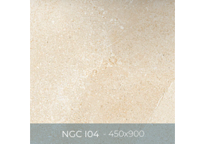 Gạch ốp lát Eurotile 450x900 NGC I04