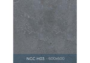 Gạch ốp lát Eurotile 600x600 NGC H03