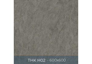 Gạch ốp lát Eurotile 600x600 THK H02