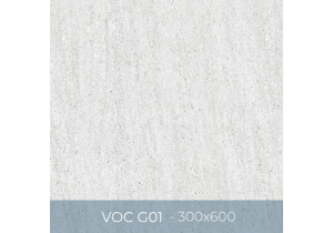 Gạch ốp lát Eurotile 300x600 VOC G01